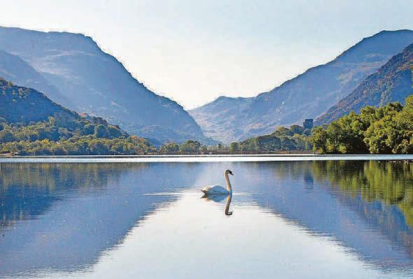 From the Sunshine State to a 'hard life' in N.Wales