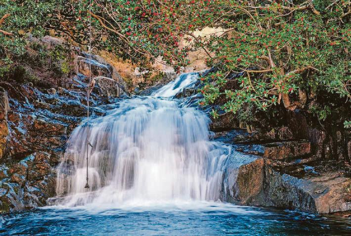 Women in pool tragedy 'touched lives of many'