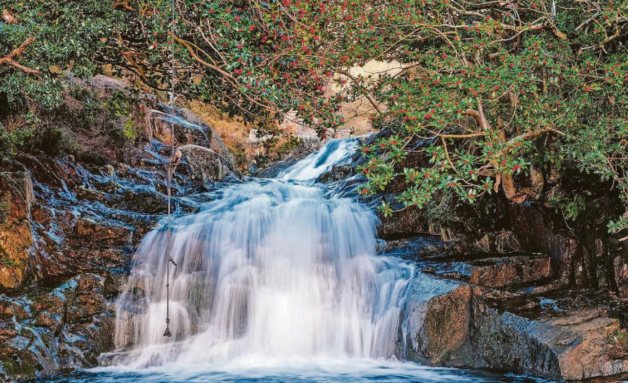 Falls death sisters were on trip with uni friends