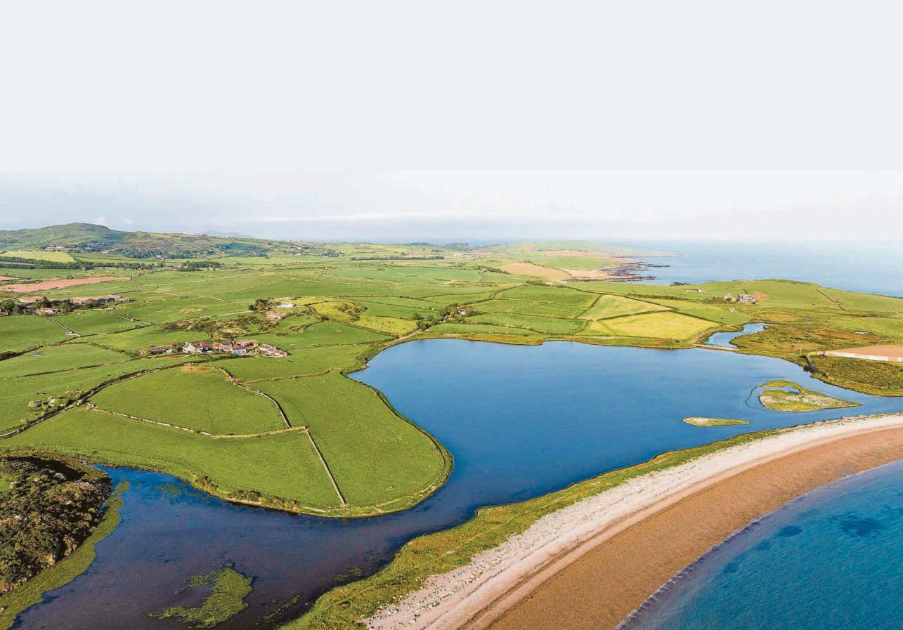 No butts about it as 3 beaches outlaw baccy