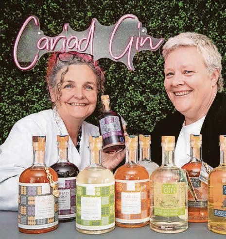 Businesses in Flintshire can bid for £270,000 tourism funding pot