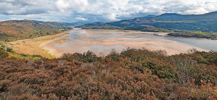 More action needed to safeguard marine protected areas, says NRW