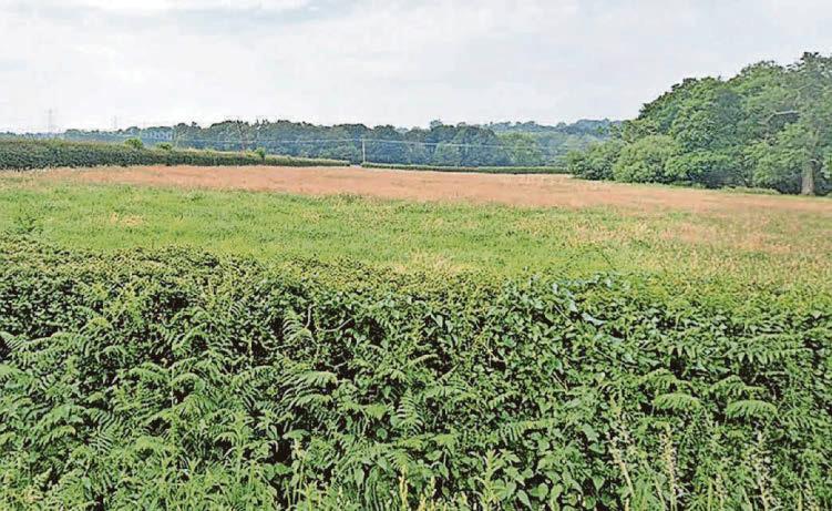 Net Zero CO2 burial plan 'spur' will need 11km trench across NE Wales