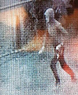 Police want to speak to woman after dog attack