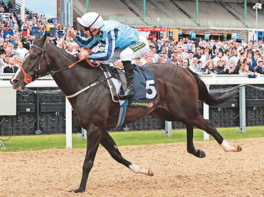 Onesmoothoperator to win the 'Pitmen's Derby' again