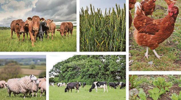 Welsh farmers leading the way with innovative trials