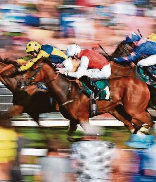 Bethall's charge has eye on win at Ripon’s round course