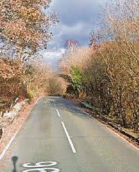 Woman's body found in woodland