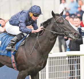 There's no sprout about it, Brussels is in running!