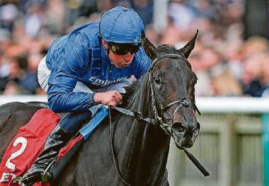 HORSE POWER A Cinderella story could make dreams come true