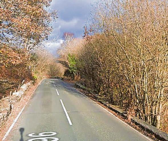 Young woman found dead in woods named