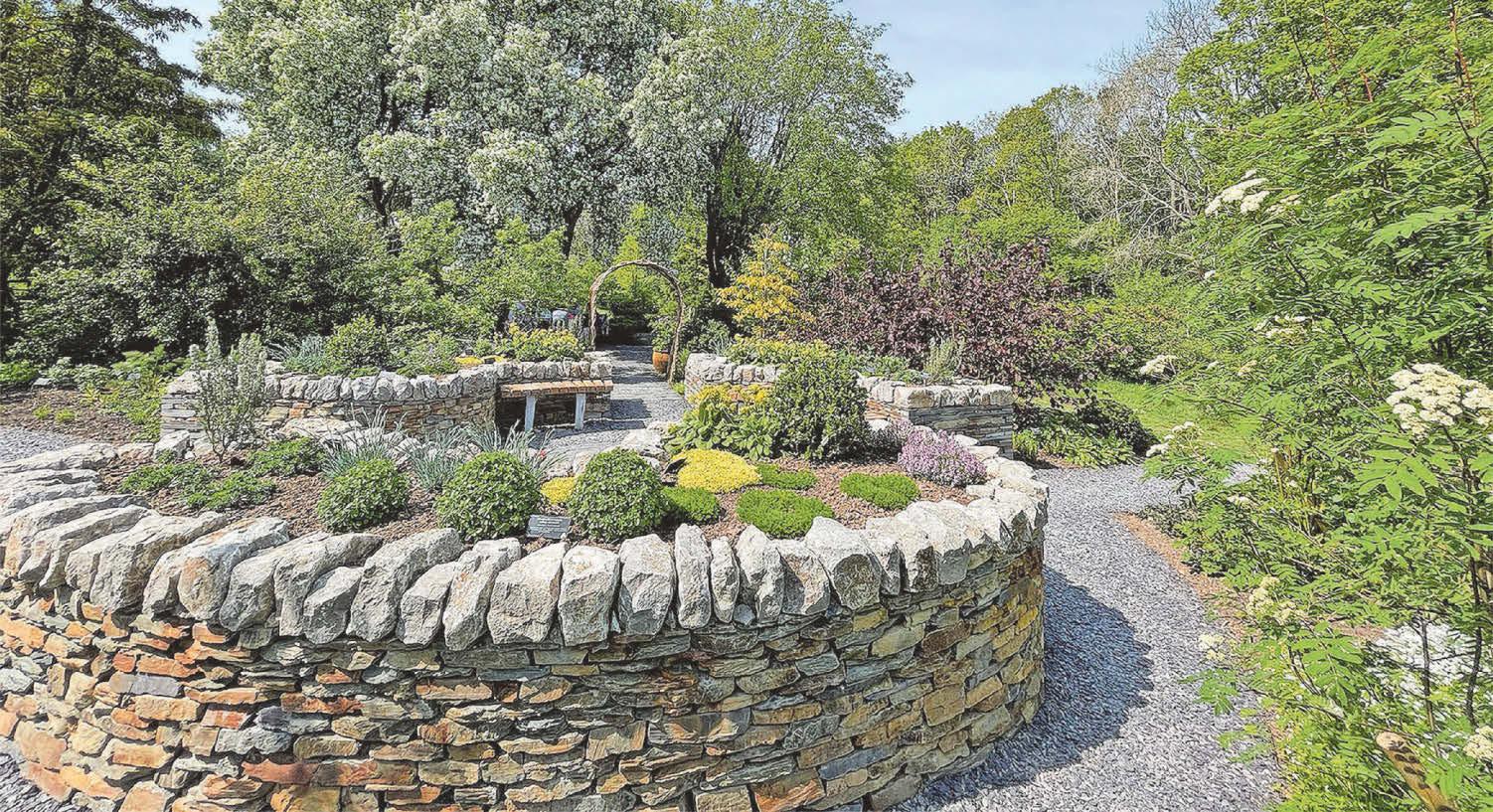 NEW UNI HERBAL GARDEN TEACHES ANCIENT WELSH LORE