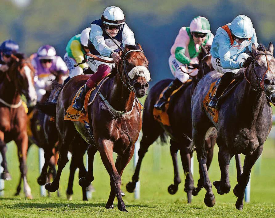 Cotai Belle can grab victory in Super Sprint at Newbury