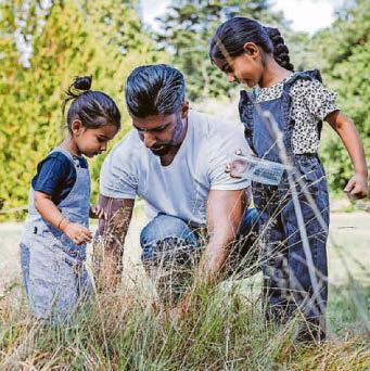 A summer tree-for-all