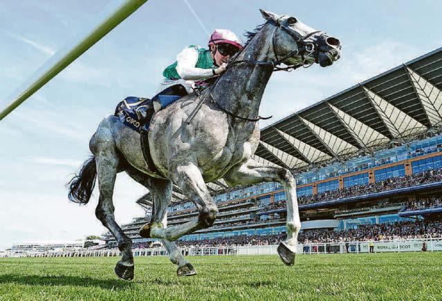 Field of dreams on the cards for Goodwood