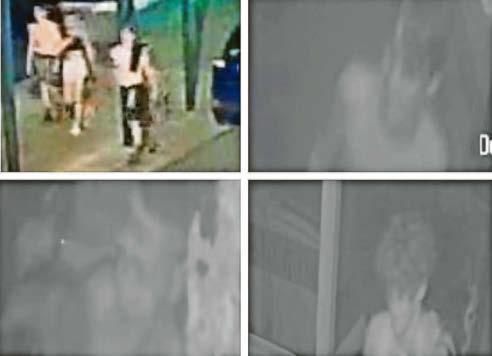 Five are sought over yacht club theft
