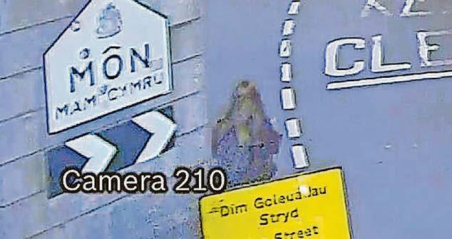 Police update in inquiry to trace missing Gwenno