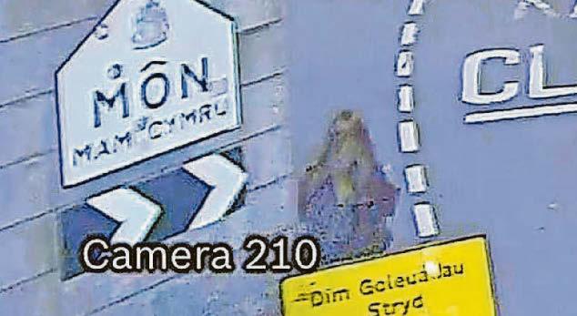 Appeal over pedestrian who may have seen missing Gwenno