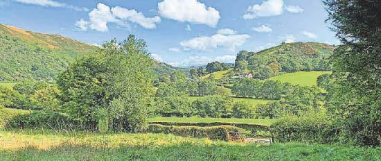 Landowner worried by wreath and ashes mystery