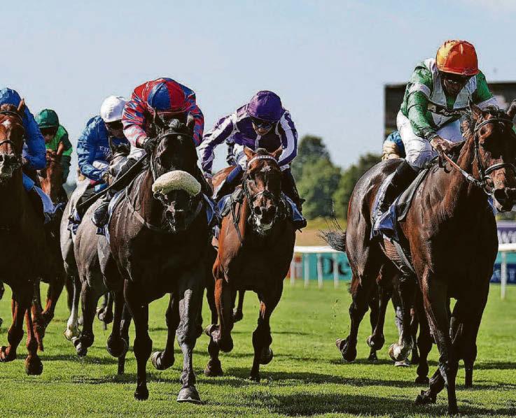 Big Mojo can Sprint to Cup success at Haydock