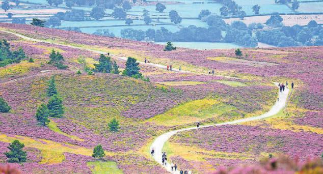 Escape to the country - and the coast