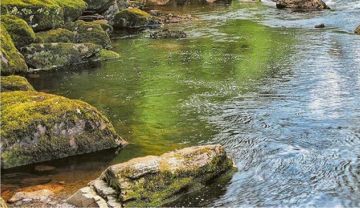 ‘Outrageous’: sewage pouring into rivers and lakes in national parks