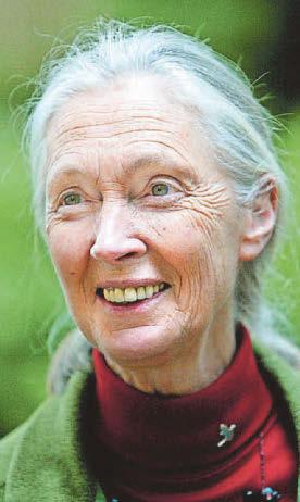 Attenborough leads tributes to Goodall