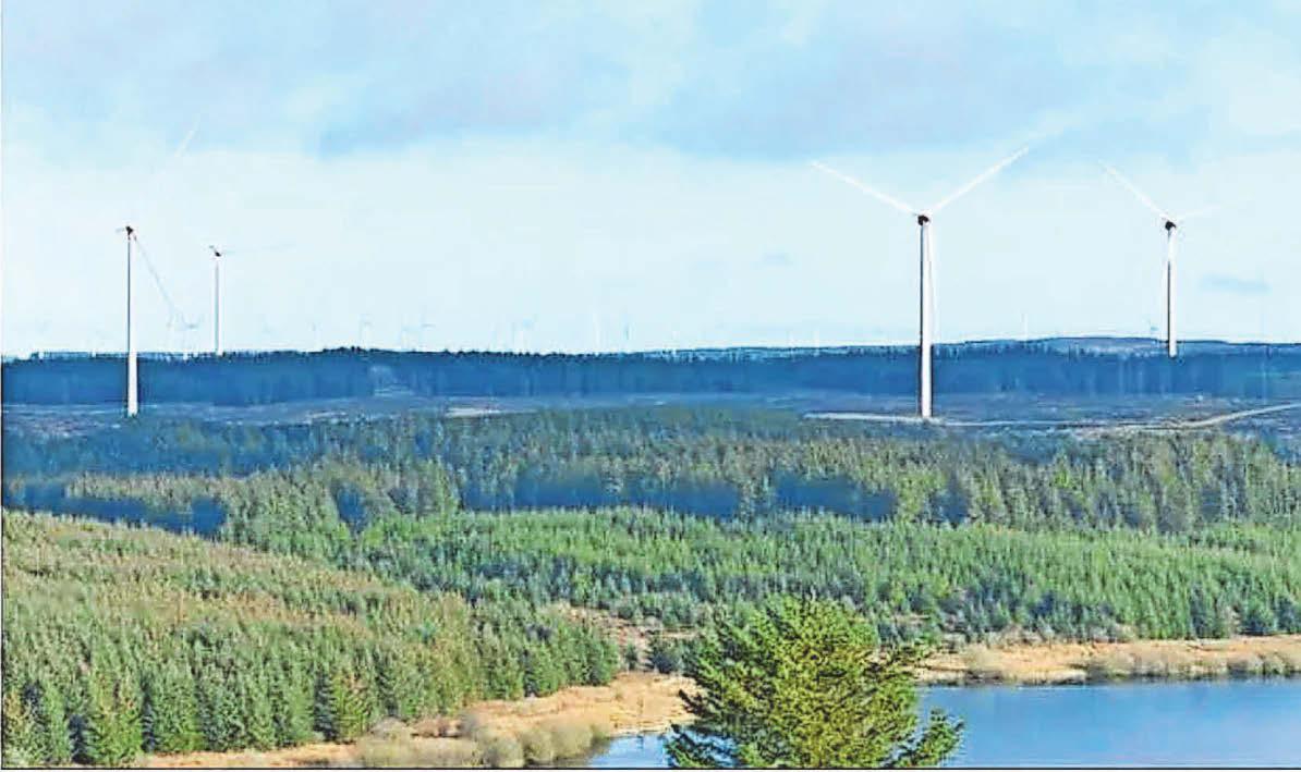 Go-ahead for wind farm in forest above reservoir