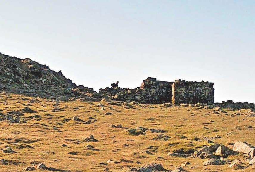 Young walkers stranded on peak in storm