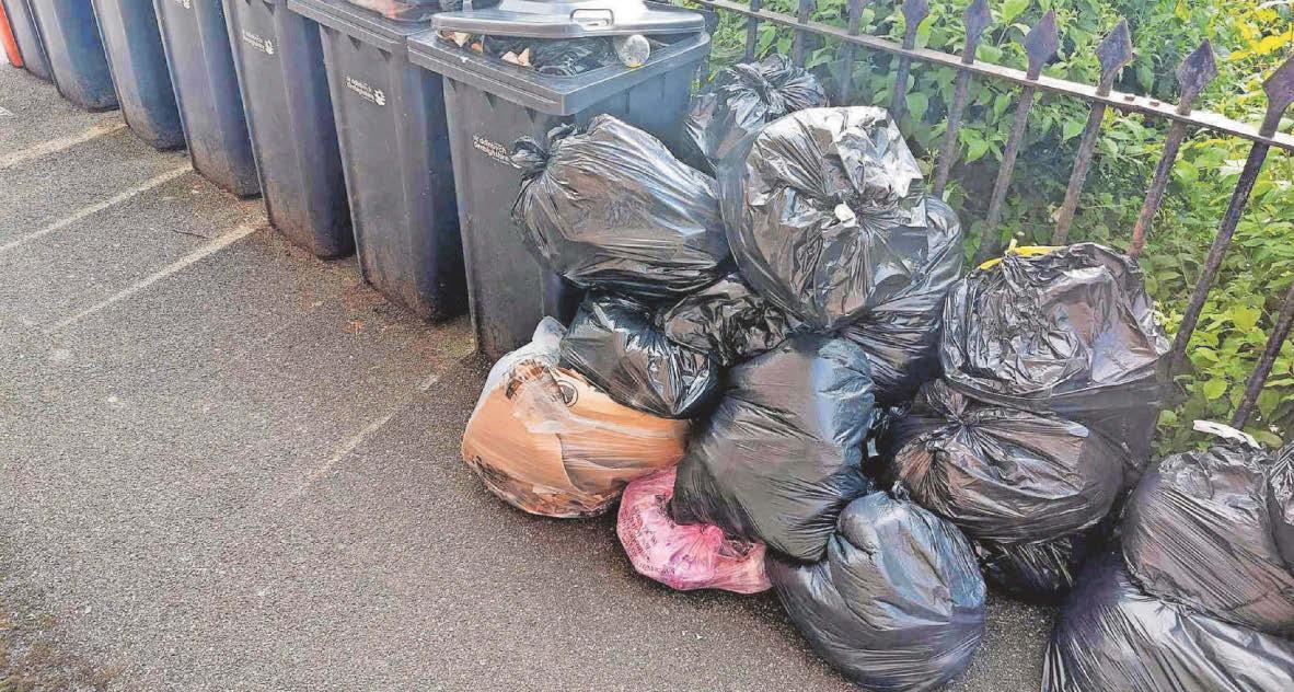 Leaked email shows fears council chiefs would quit over 'Trolibocs' shambles