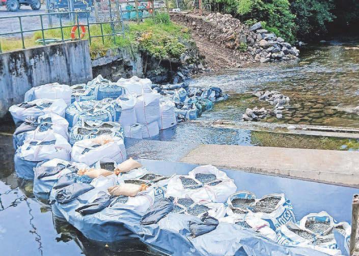 WEIR WORKS TO HELP MIGRATING FISH UPSTREAM COMPLETED