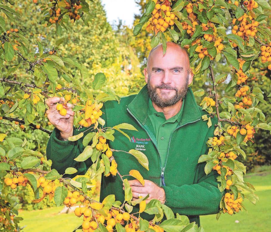 Dad turned train wreck garden into 'Tuscan style' paradise for just a few quid