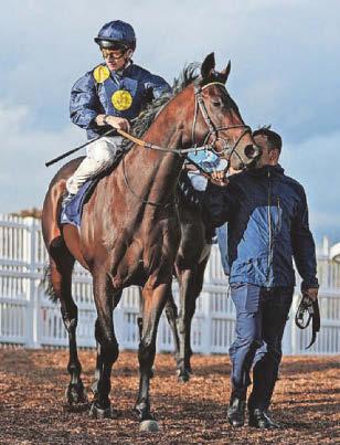 HORSE POWER Accredit is given stamp of approval at Haydock meet