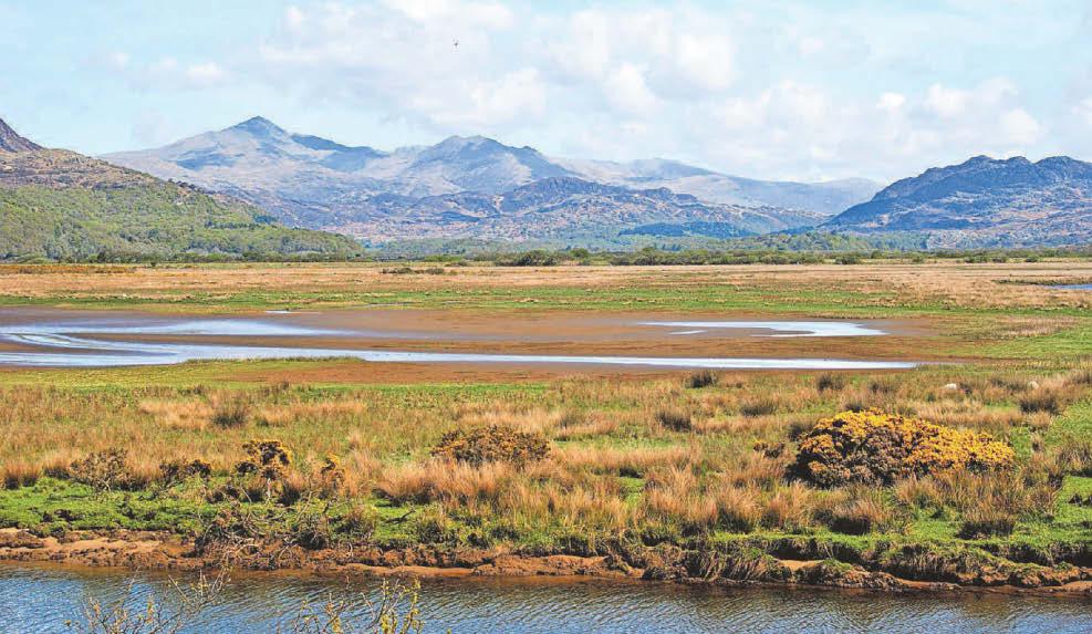 Power cables to be buried to preserve national treasure