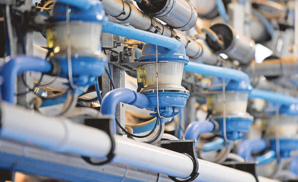 Union warns of multiple threats for dairy sector as farm gate prices fall