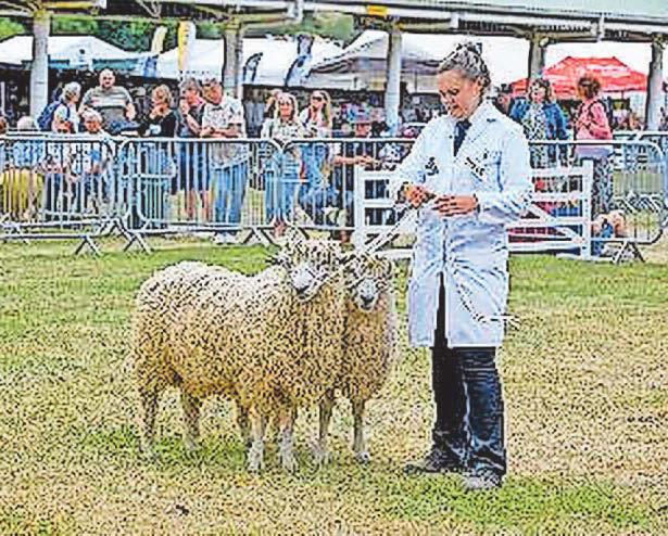 Conference will be key event for sheep farming community