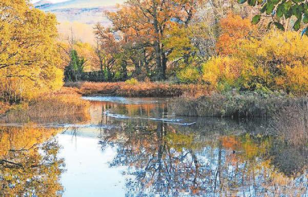 Nature reserve to reclaim its haunting historic Welsh name