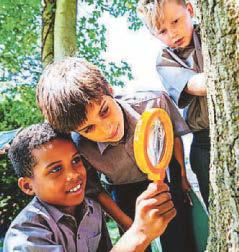 Get a daily dose of nature's medicine