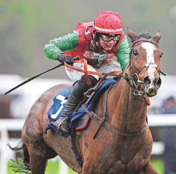 Nicholl's Henri The Second can be first past the post