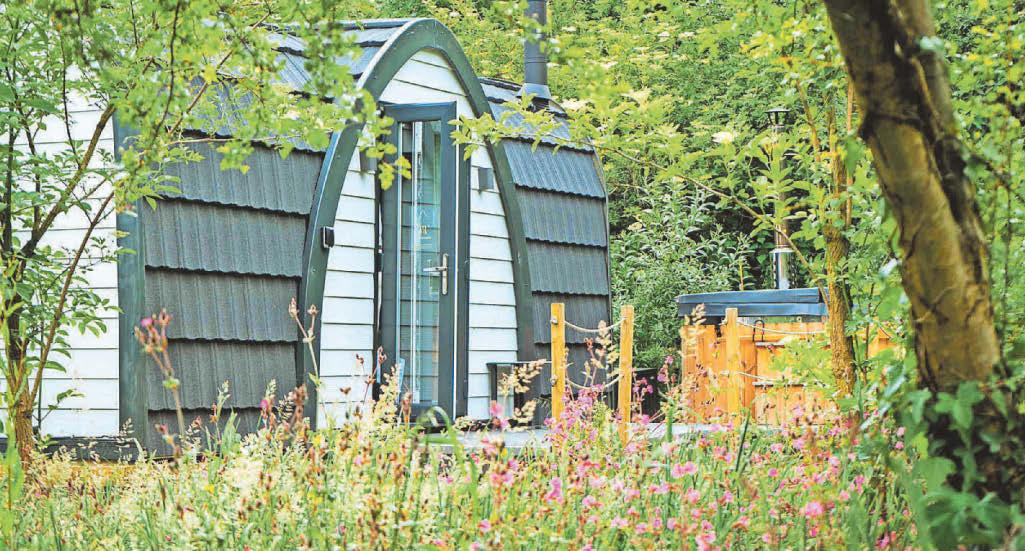 Overgrown site turned into glamping success