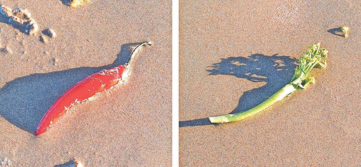 MYSTERY AS FRUIT AND VEG WASH UP ALONG ISLAND COAST