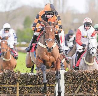 HORSE POWER Luna landing expected after first fences start at Warwick