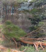 Dramatic photos show impact of storms and landslides on railway