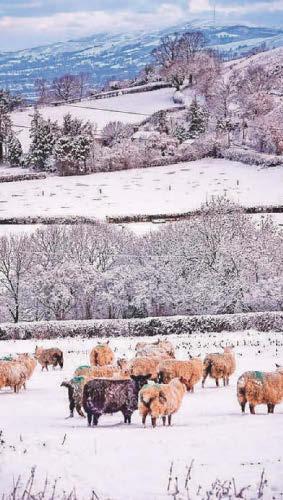 Third snow dump looming for Wales in wake of Storm Goretti