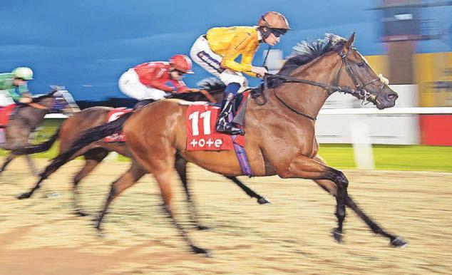 HORSE POWER Heathcliff can shine over seven furlongs at Kempton
