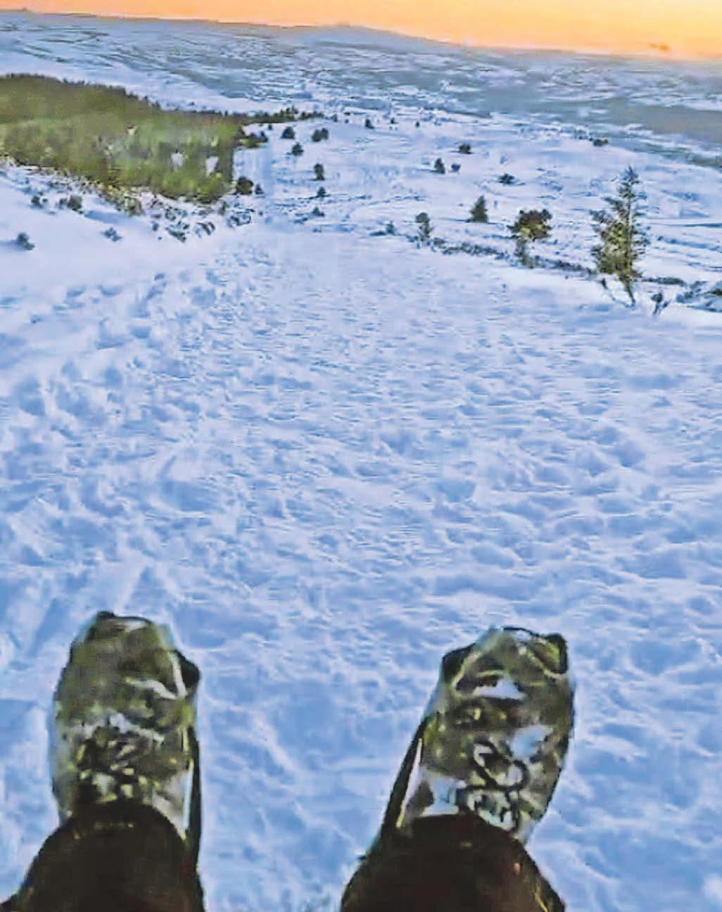SLEDADDLE