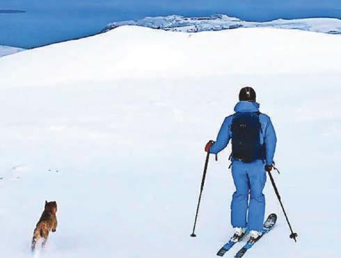 SKIS THE DAY