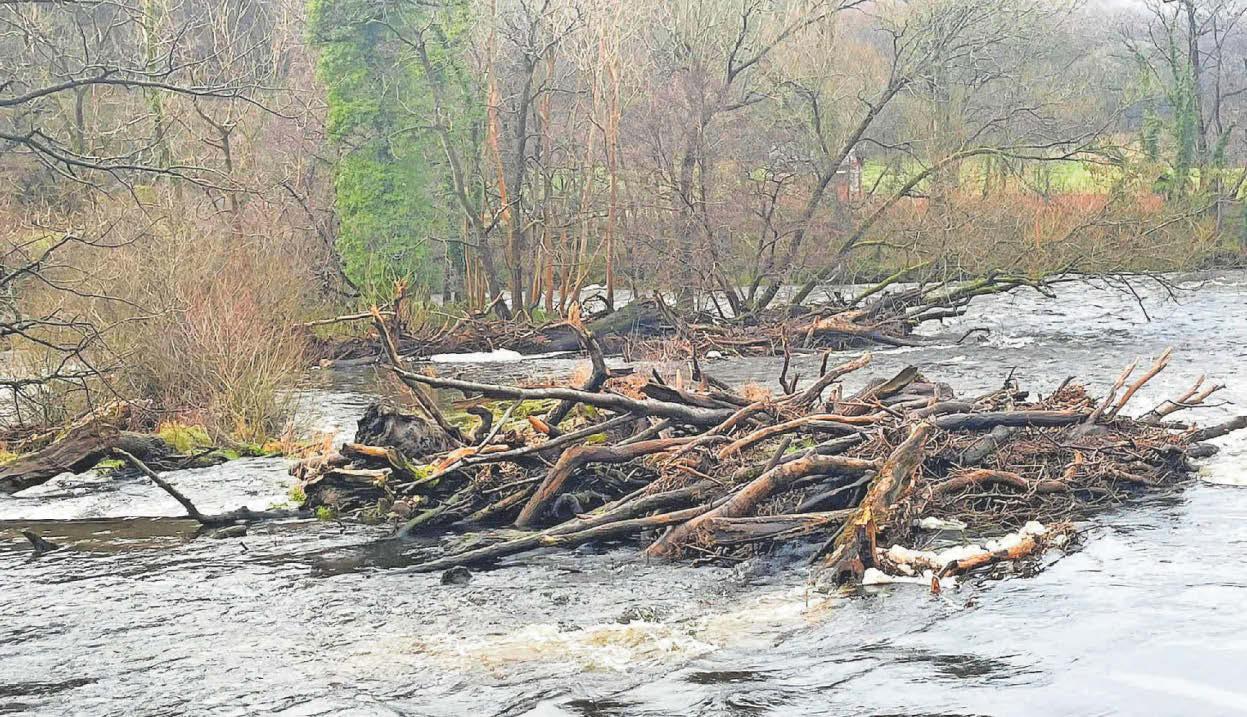Debris at River Dee beauty spot slammed as 'eyesore'