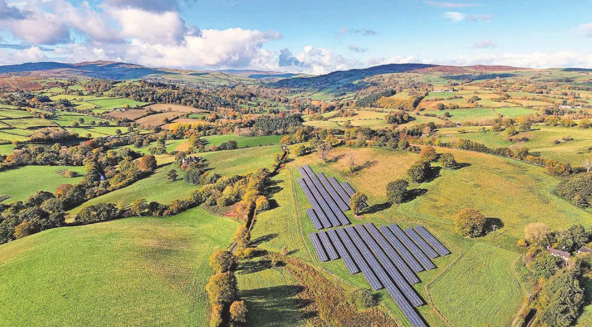 Estate presses on with regenerative farming