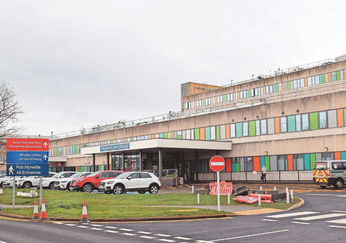 RATS in hospital as bosses take pest control measures